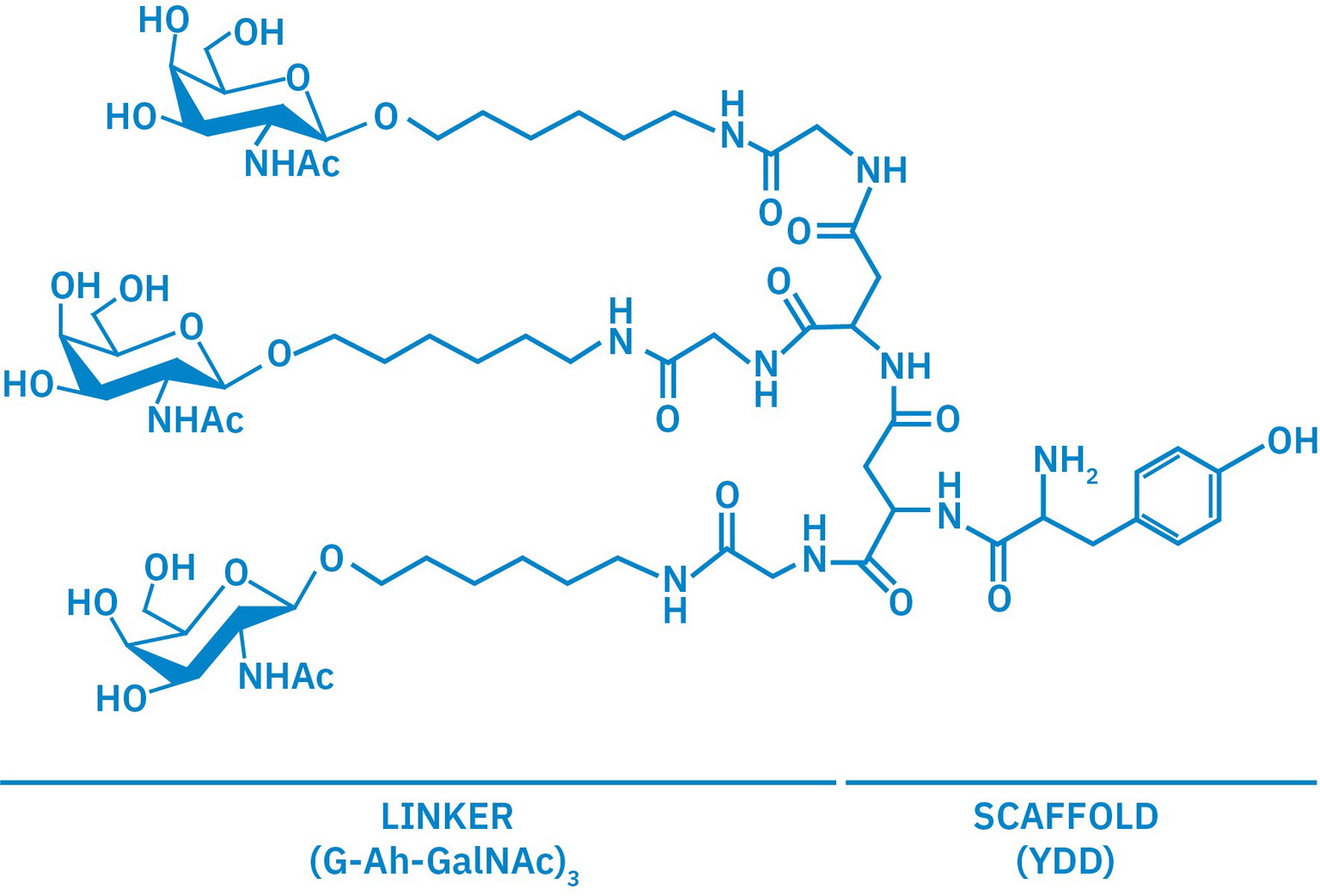 GalNAc: game-changers in developing liver-targeted conjugate therapies