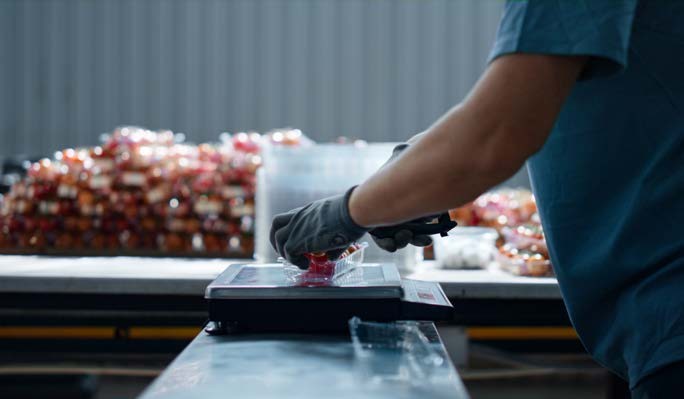 Understanding the Average Quantity System: ℮-WEIGHTS