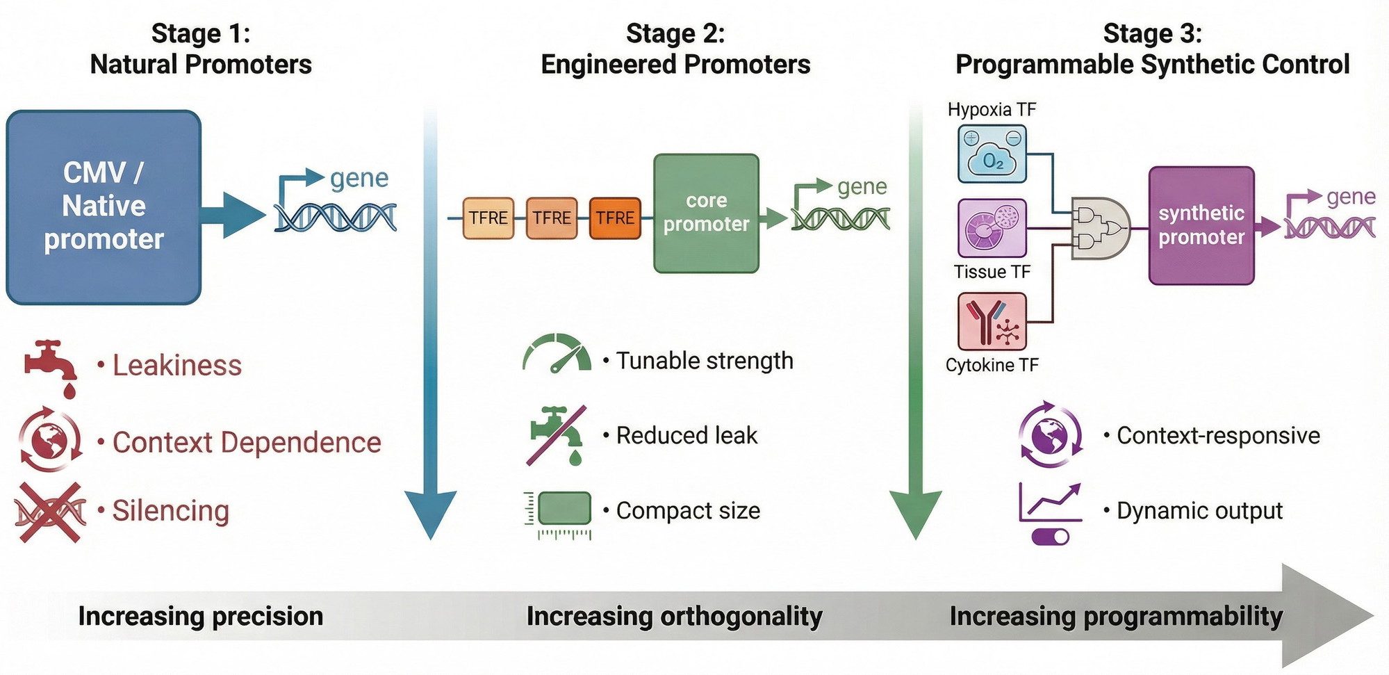 Entic Control Module Designing genetic control: synthetic promoters powering modern ...