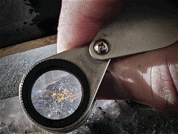 MESSAGE FROM THE PRESIDENT