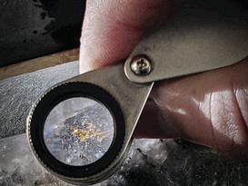 MESSAGE FROM THE PRESIDENT