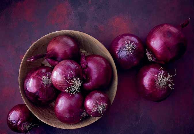 LE CIPOLLE SOTTACETO ESPRESSE