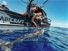 BUILDING THE KIWI DREAM