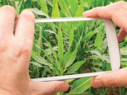 Agtech use and profile raising in industry