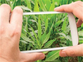 Agtech use and profile raising in industry