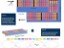 SLIM-Based High-Resolution Ion Mobility to Interrogate Glycopeptide Heterogeneity