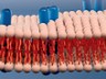 Metabolomics and Lipidomics Research Accelerated by Trapped Ion Mass Spectrometry