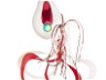 Dotera Bakubaku White Keimura