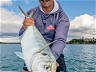 HAURAKI GULF TREVALLY