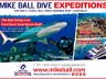 Mike Bali Dive Expeditions