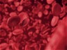 A targeted approach to developing targeted blood cancer therapies
