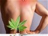 Embracing transdermal technologies