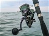 DAIWA FREE SWIMMER BR