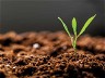 Top 10 grower resources from Soil Wealth ICP Phase 2
