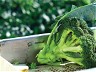 Delivering long-term, sustainable solutions cto preserve freshness in broccoli