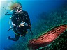 How To Do A Proper Buoyancy Check