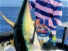 Yellowfin On The Menu