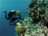 Siladen Island Photographers Paradise