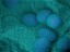 Five Facts About Prostate Cancer