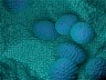 Five Facts About Prostate Cancer