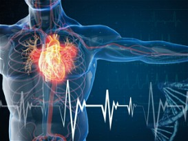 Five Facts About Cardiovascular Disease (CVD)
