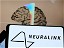 Elon Musk’s Neuralink rejected by FDA for human trials