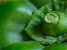 Spiritual health and the digestive system
