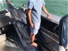 News: FATHER AND SON BILLFISH DOUBLE