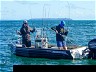 Saltwater: WHY SMALL TINNIES RULE!