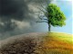 Five facts about climate change and health