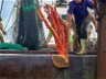THE CORAL COST TO BOTTOM TRAWLING