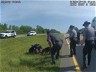 Ohio officerfired amid probe into police dog attack on surrendered truck driver