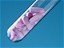 3D printed pills to enable time-controlled release in development