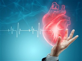 Study shows Wegovy by Novo Nordisk reduces cardiovascular risk