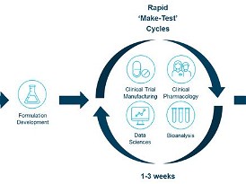 Integrated development strategies for drug product optimisation
