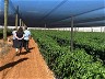 WA Biosecurity Video Series Out Now