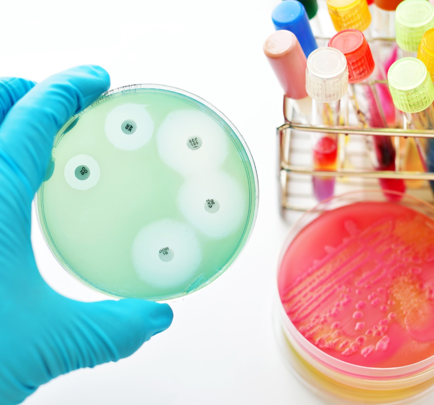 Five facts about antimicrobial resistance