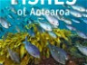 FISHES OF AOTEAROA BY PAUL CAIGER