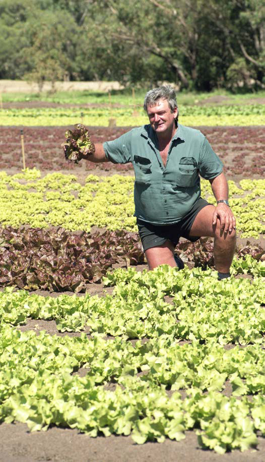 Barry kneeling in a lettuce field holding produce
