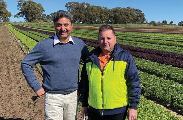 Dr Sukhvinder Pal Singh standing with Vange Panagiotidis in a vegetable field