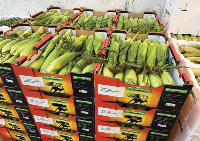 Boxes of WA produce corn on display at the South Australian Produce Markets