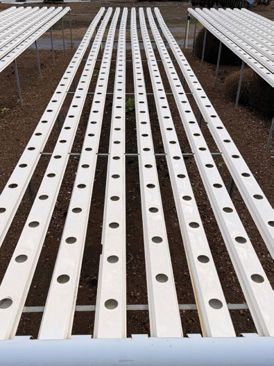 Empty NFT channels ready for planting