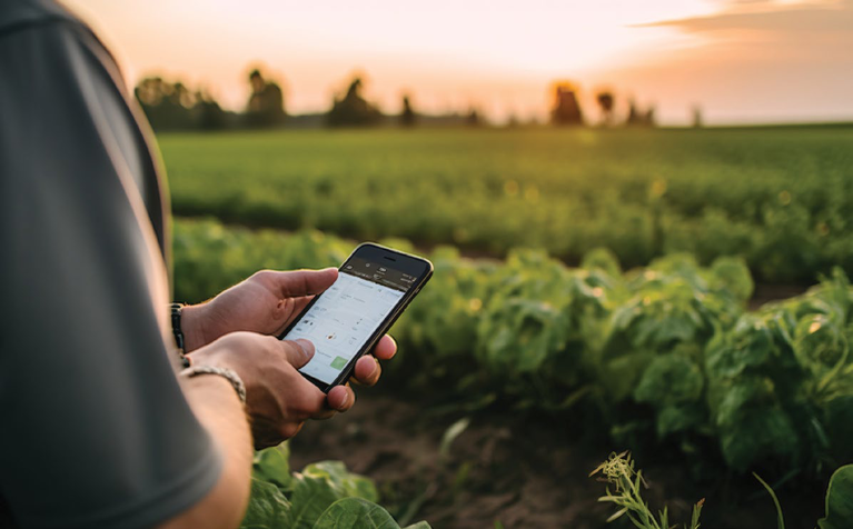 A hand holding a phone showing the irrigation app in a field at sunset