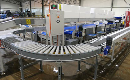 Conveyor rollers curving through the packing shed