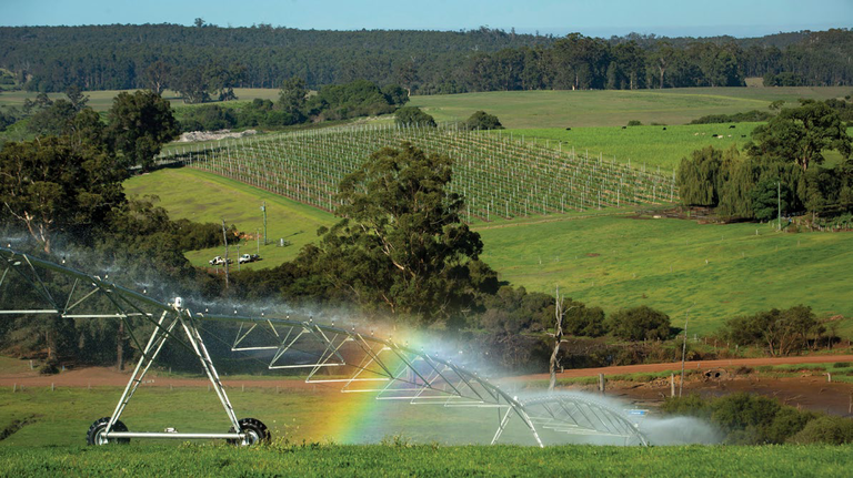 Aerial view of southern forests farmland with irrigation sprinklers and a rainbow
