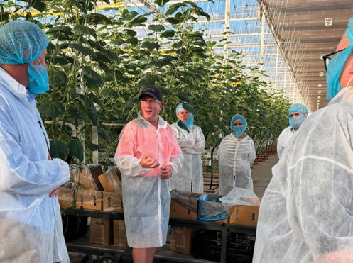 Food safety professionals in protective gear touring a greenhouse operation