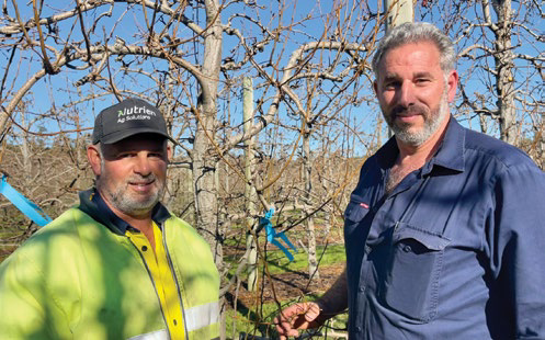 Two men standing together in the orchard, one in high-vis clothing
