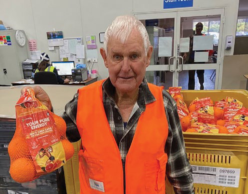 Grower holding oranges in a packing shed