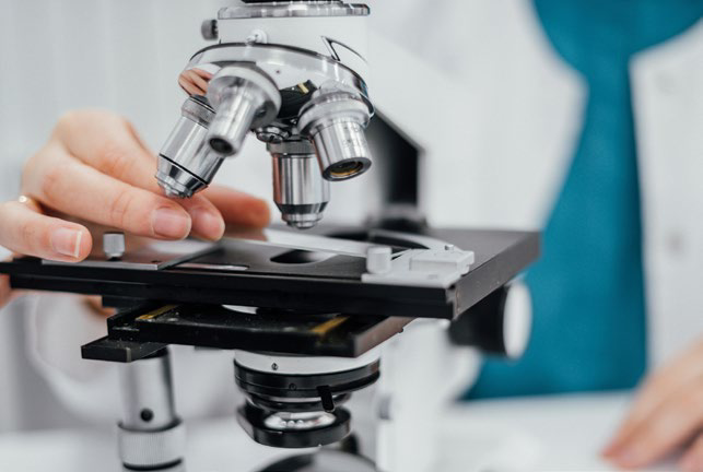 Scientist examining a sample under a microscope