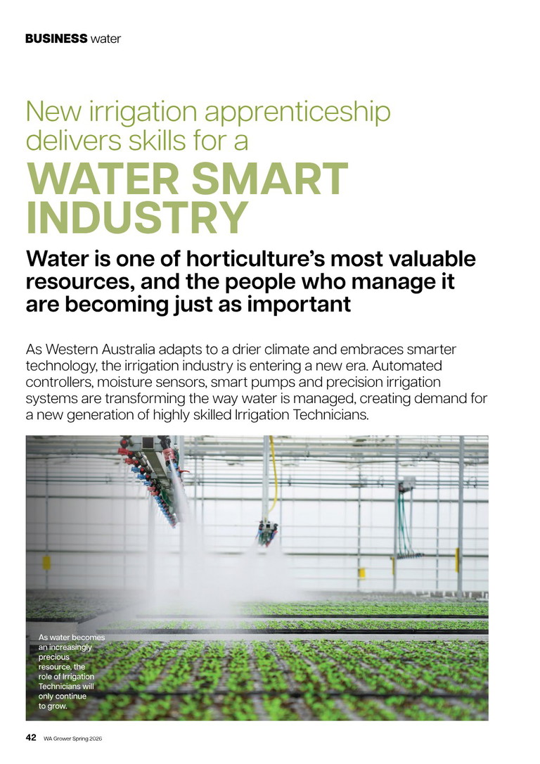 Automated irrigation misting system spraying seedlings in a greenhouse